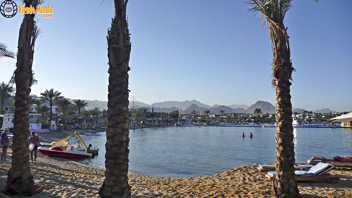 PLAYAS DE EGIPTO. Las mejores playas del país visitadas por ViendoMundo