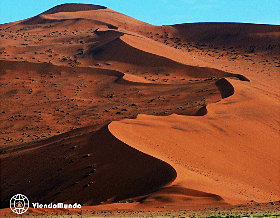 DESIERTOS DE NAMIBIA. Los lugares más áridos del país visitados por ViendoMundo